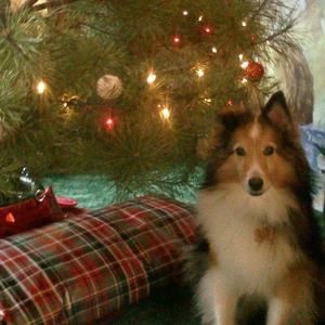 Meet your Posher, Jen